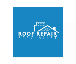 LA Roof Repair Specialist