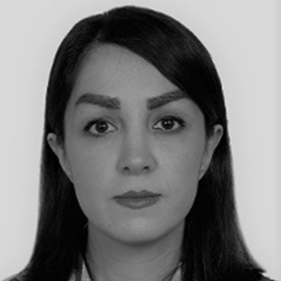 Helia Vaezian - Farsi and Dari Translator